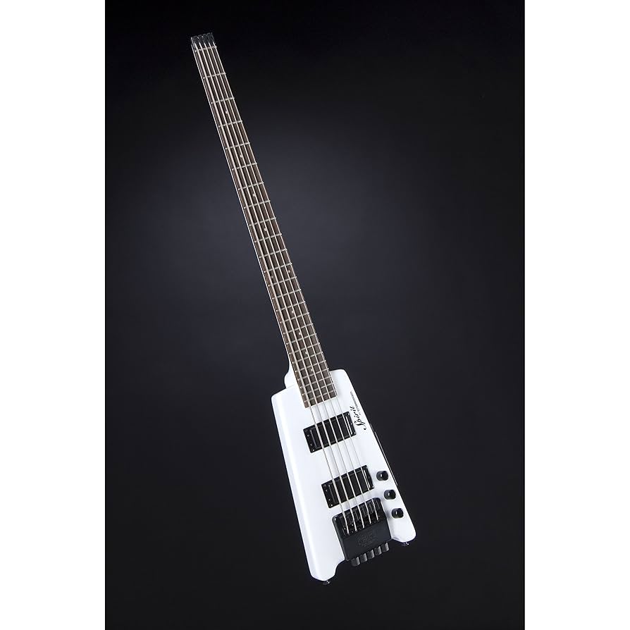 Amazon.com: Steinberger Spirit XT-25 5-String Standard Bass